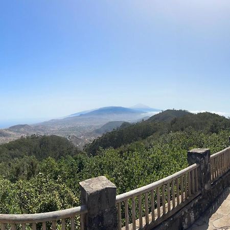 Los Cactus Santa Cruz de Tenerife Dış mekan fotoğraf