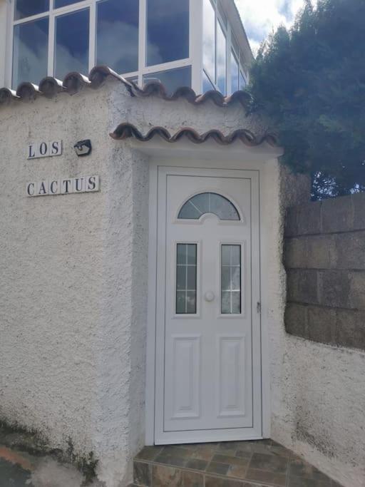 Los Cactus Santa Cruz de Tenerife Dış mekan fotoğraf